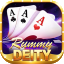 13 card rummy online free