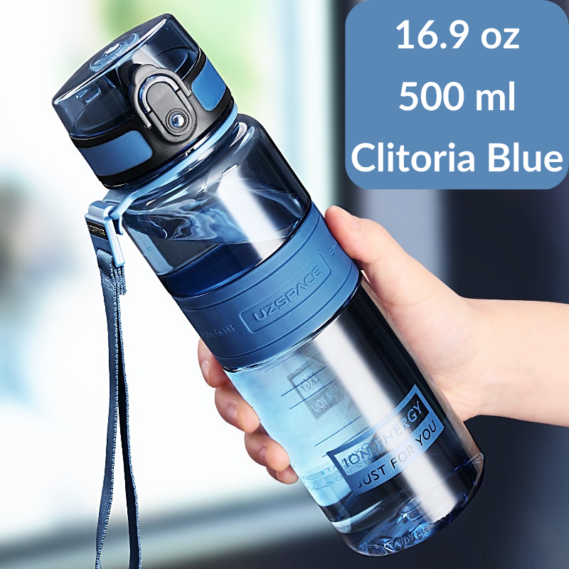 Travel water bottle